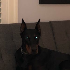 Meet your Posher, Marc